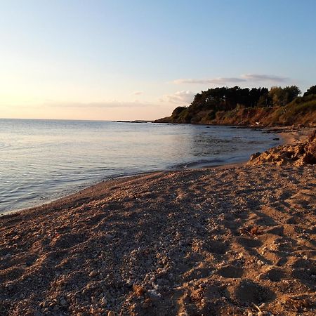 Nestor Sea Studio Preveza Luaran gambar